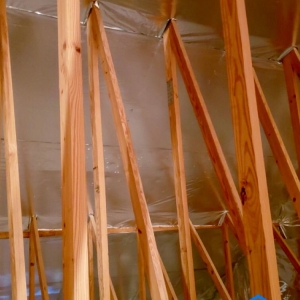 Photo of Green Attics