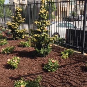 Photo of Johnson Landscape Company