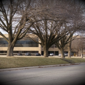 Photo of Dyer Legal Team