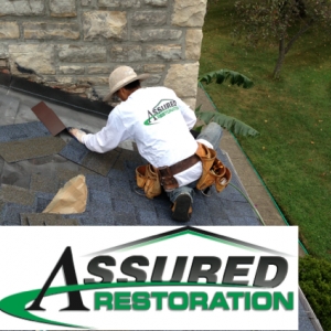 Photo of Assured Restoration