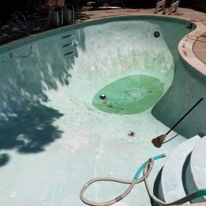 Photo of Step Into Liquid Pool & Spa