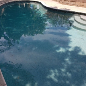 Photo of Step Into Liquid Pool & Spa