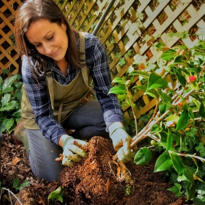 Photo of Barefoot Garden Design