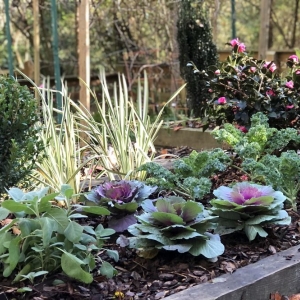 Photo of Barefoot Garden Design