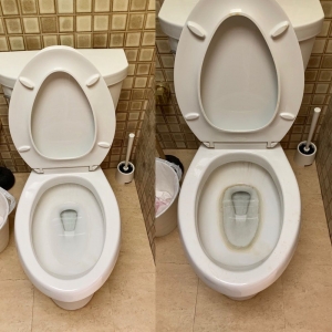 San Diego Ivy Cleans