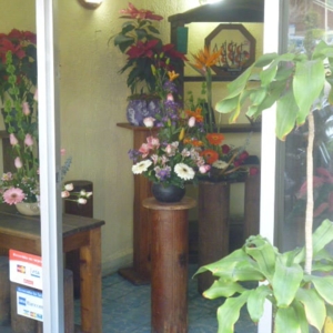 Photo of Florería Floresta