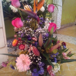 Photo of Florería Floresta