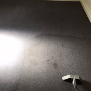 Photo of Huy's Steam Carpet