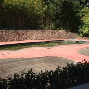 Photo of Evanly Pools