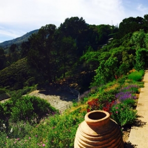 Photo of Evanly Pools