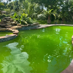 Photo of Marine Blue Pool Services