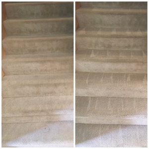 Photo of Eco Brite LLC