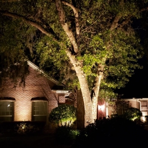 Photo of Pro Lighting Outdoors