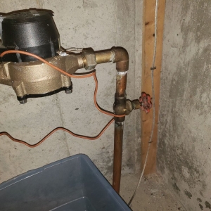 Photo of The Permanent Solution