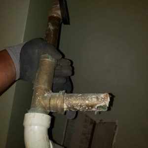 Photo of The Permanent Solution