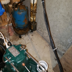 Photo of The Permanent Solution