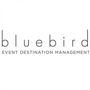 Photo of Bluebird DMC