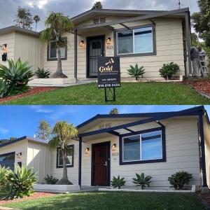 San Diego Gold Standard Painting