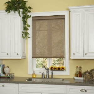 Photo of Sammy's Blind and Window