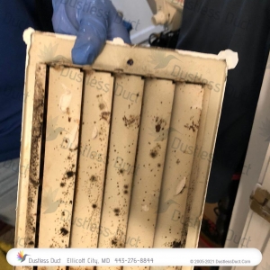 Photo of Dustless Duct
