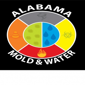 Photo of Alabama Mold and Water
