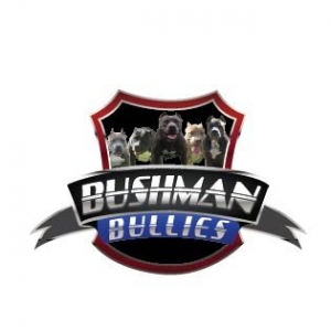 Photo of Branded Logo Designs