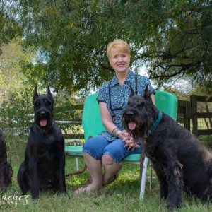 Photo of Every Penny Counts Bookkeeping Service