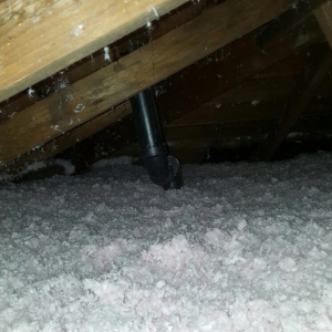 Photo of Insulation Co. LLC - Removal & Clean Outs