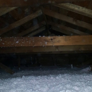 Photo of Insulation Co. LLC - Removal & Clean Outs
