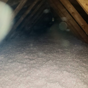 Photo of Insulation Co. LLC - Removal & Clean Outs