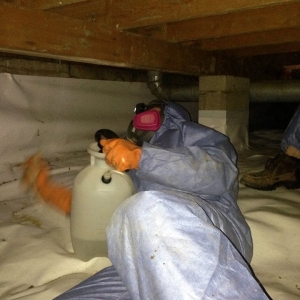 Photo of Crawlspace Remediation