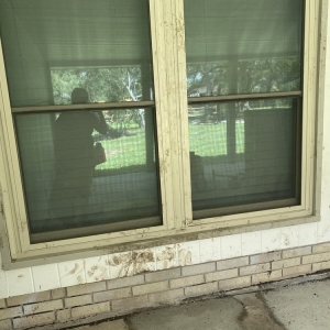 Photo of All Foundation Repair