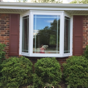 Photo of Ultimate Home Solutions