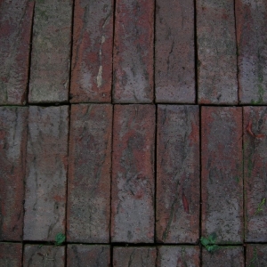 Photo of Tidal South Pressure Washing