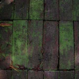 Photo of Tidal South Pressure Washing
