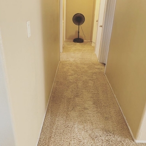 Photo of Xtreme Cleaning