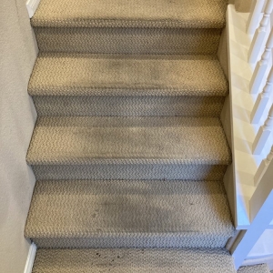 Photo of Xtreme Cleaning