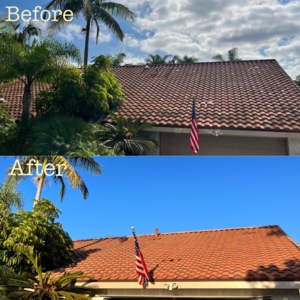 Photo of American Elite Pressure Washing