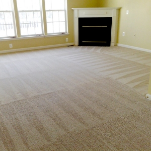 Photo of Exceptionally Clean Carpet