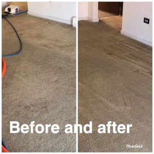 Photo of Exceptionally Clean Carpet