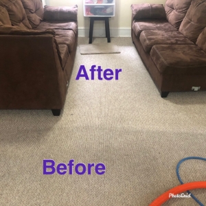 Photo of Exceptionally Clean Carpet