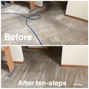 Photo of Exceptionally Clean Carpet