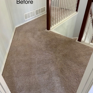 Photo of Express Carpet Cleaning