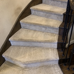 Photo of Express Carpet Cleaning
