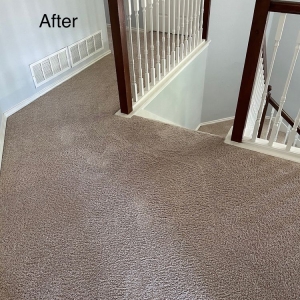 Photo of Express Carpet Cleaning