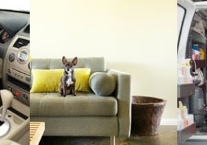 Photo of L&B Carpet & Upholstery Cleaning