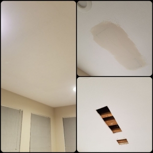 Photo of Williams Maintenance & Handyman Service