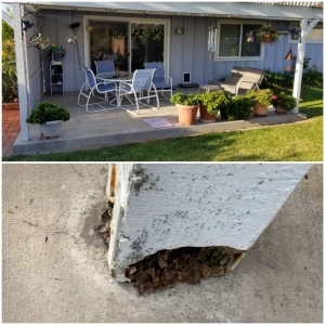 Photo of Williams Maintenance & Handyman Service