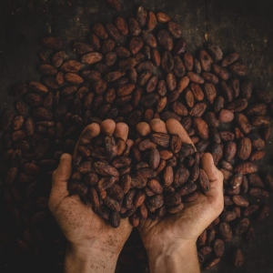 Photo of Chocolate Pursuit