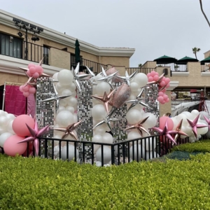 Photo of Fancy Chancey